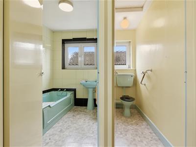 Picture 20